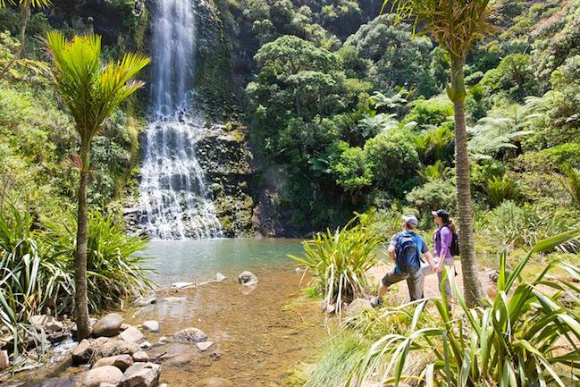 Auckland City & West Coast Luxury Tour - The guide can make or break the day