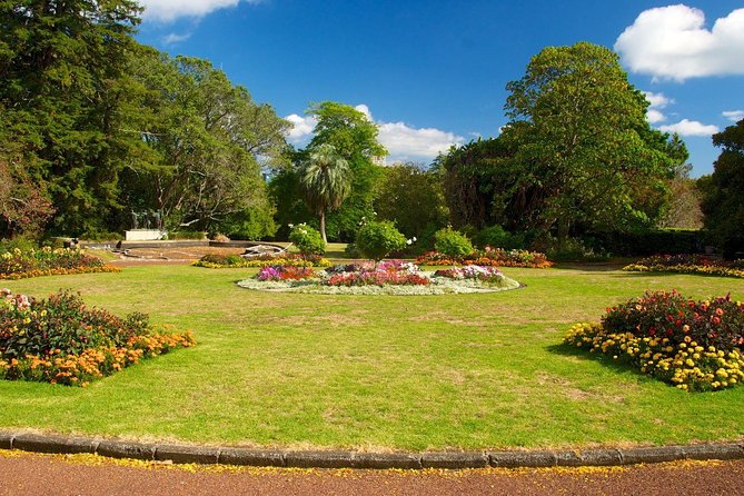Auckland Coastal Experience - Small Group City & Beach Tour Incl. Wine Tasting - Tamaki Drive, Mission Bay and Bastion Point