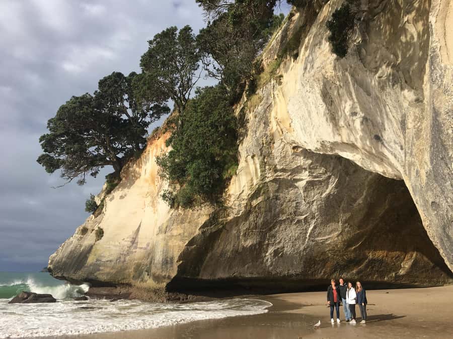 Auckland: Coromandel Day Tour including Hot Water Beach - Why the Train Ride Makes This Coromandel Tour Different