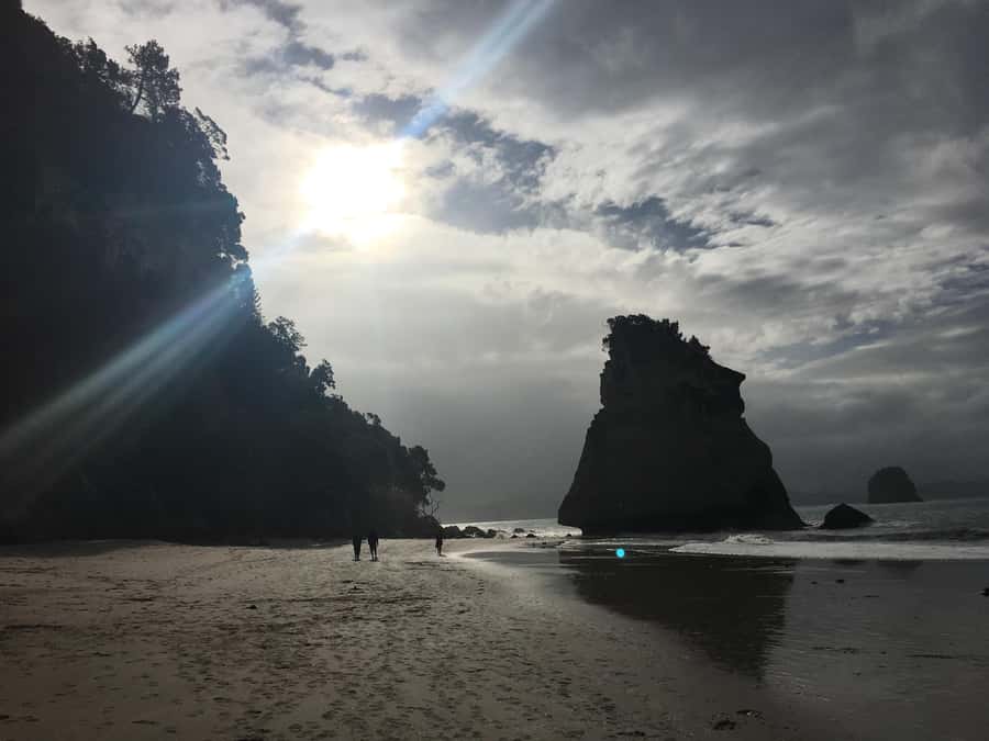 Auckland: Coromandel Day Tour including Hot Water Beach - Driving Creek Railway and the Eyefull Tower
