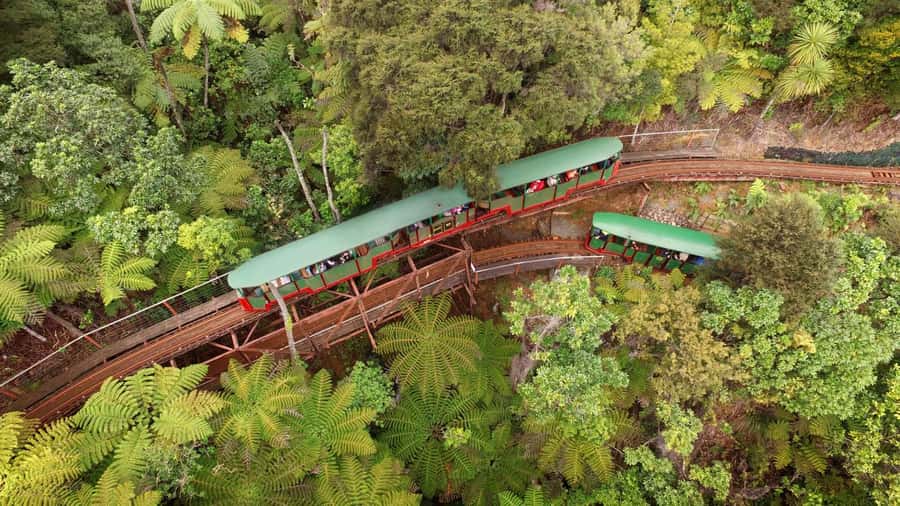 Auckland: Coromandel Driving Creek & Cathedral Cove Day Tour - Key points to know before booking
