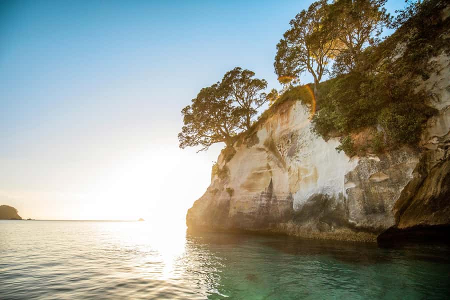 Auckland: Coromandel Driving Creek & Cathedral Cove Day Tour - Driving Creek Railway and Barry Brickell’s forest creation