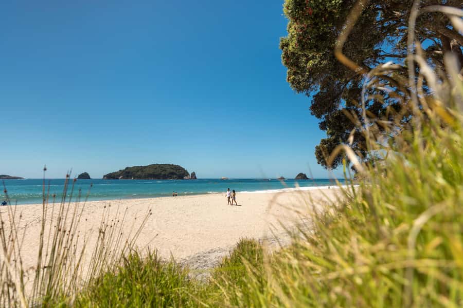 Auckland: Coromandel Driving Creek & Cathedral Cove Day Tour - Whitianga for lunch and a change of pace