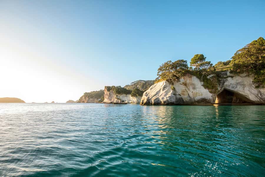 Auckland: Coromandel Driving Creek & Cathedral Cove Day Tour - The guide can shape the whole day