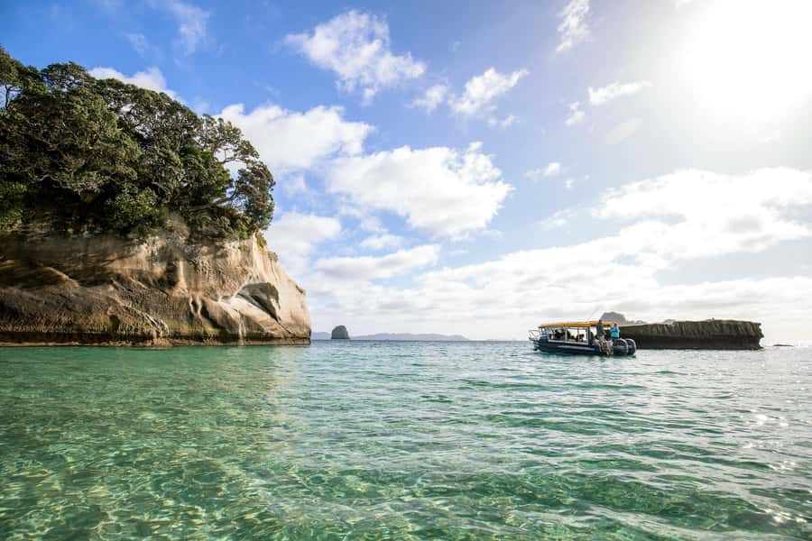 Auckland: Coromandel Driving Creek & Cathedral Cove Day Tour - What to bring for a full day outside
