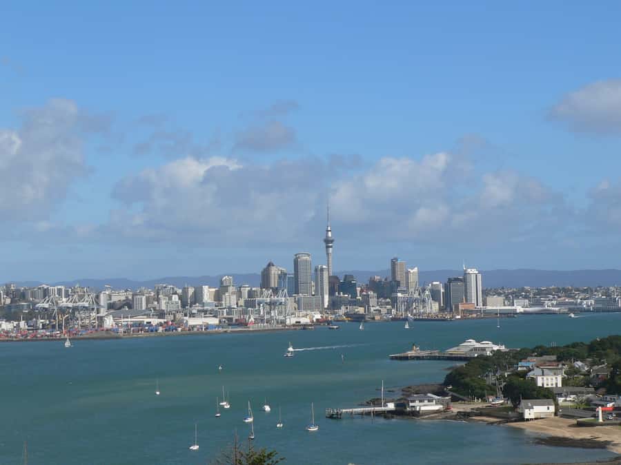 Auckland: Devonport Village Segway Tour - Practical tips for a smoother ride