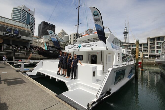 Auckland Dolphin and Whale Watching Eco-Safari Cruise - Viaduct Harbour and the Auckland Harbour Bridge
