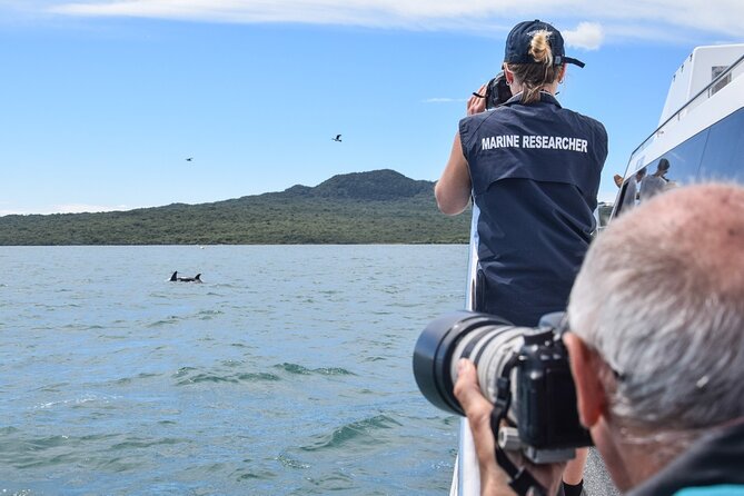 Auckland Dolphin and Whale Watching Eco-Safari Cruise - Rangitoto Island and the open gulf