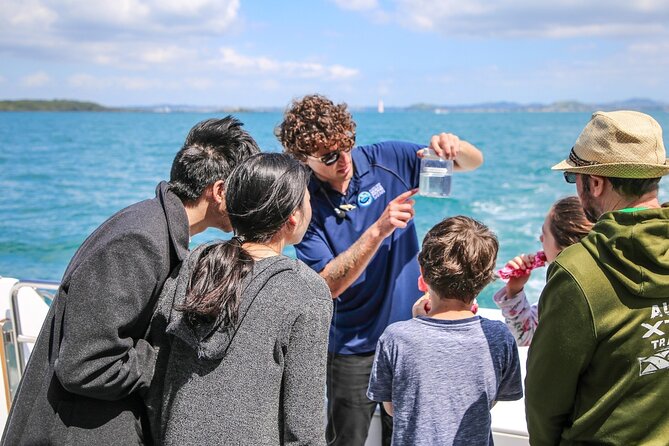 Auckland Dolphin and Whale Watching Eco-Safari Cruise - Tiritiri Matangi and rare seabirds