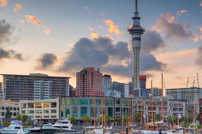 Auckland Downtown Hotel Transfers to/from Cruise Ship in Minivan - Who will get the most from this transfer