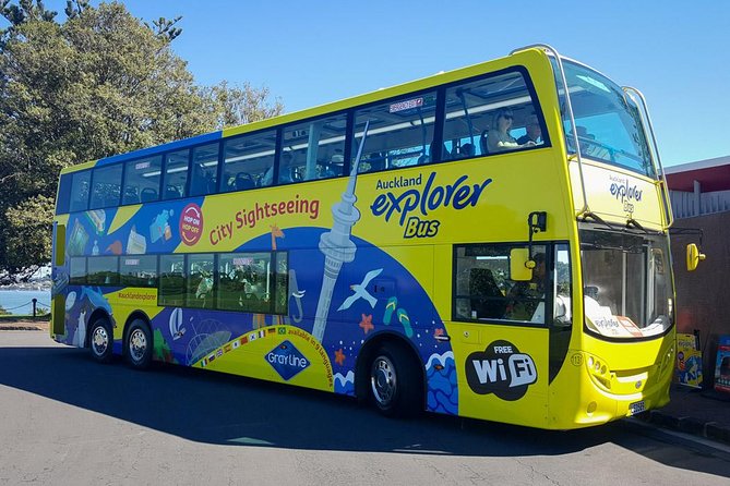Auckland Explorer: Sightseeing Hop-on Hop-off Tour - Newmarket, the Museum, and Parnell