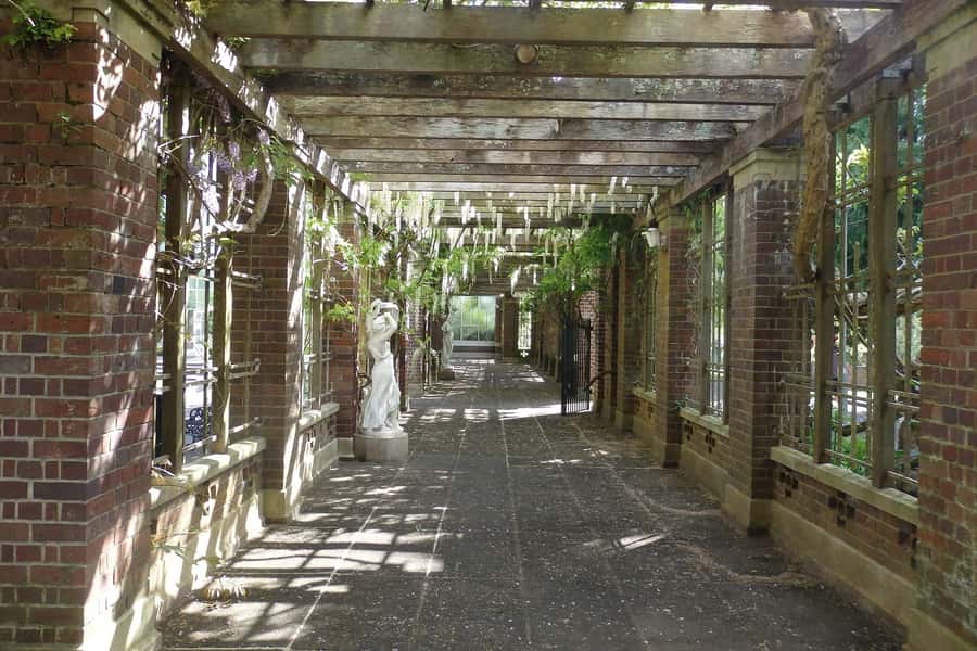 Auckland: Full-Day City Highlights Tour - What the $128 price buys you