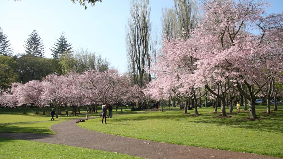 Auckland: Full-Day City Tour - A full day that puts Auckland in context