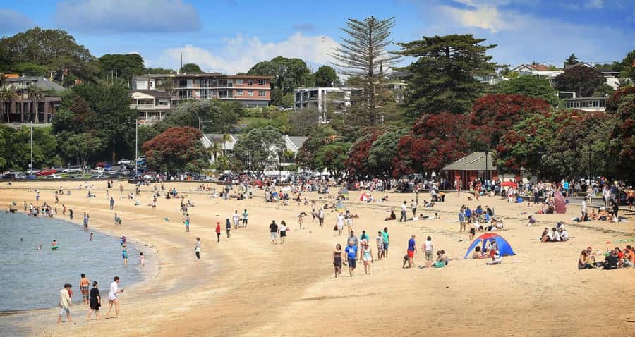 Auckland: Full-Day City Tour - Mount Eden: Auckland from a volcanic summit