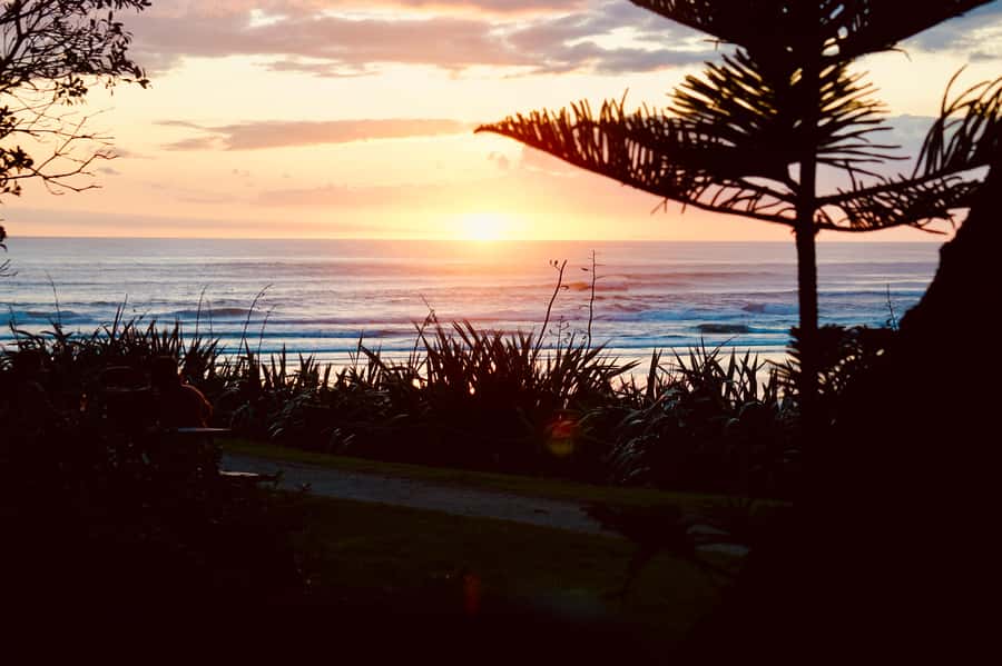 Auckland: Group Surfing Lesson with Muriwai Surf School - Two hours of practice in the water