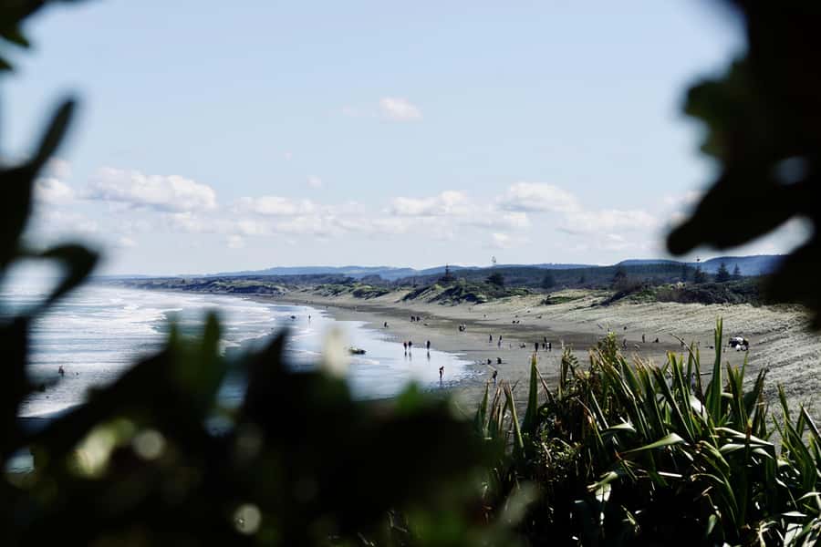 Auckland: Group Surfing Lesson with Muriwai Surf School - What the $41 price really covers