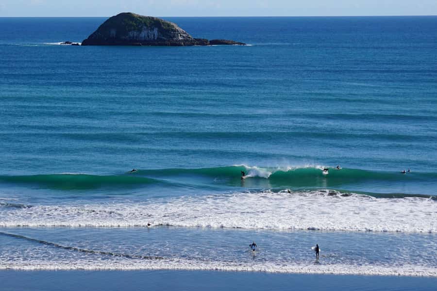 Auckland: Group Surfing Lesson with Muriwai Surf School - Should you book the Muriwai lesson?