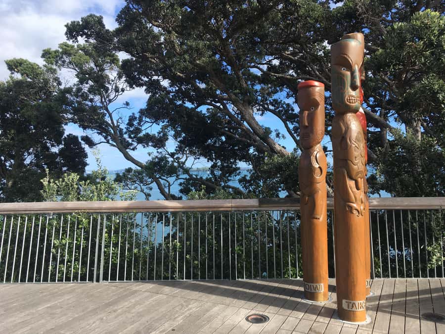 Auckland: Half-Day Auckland Volcanoes Tour - Four volcanoes, one compact Auckland lesson