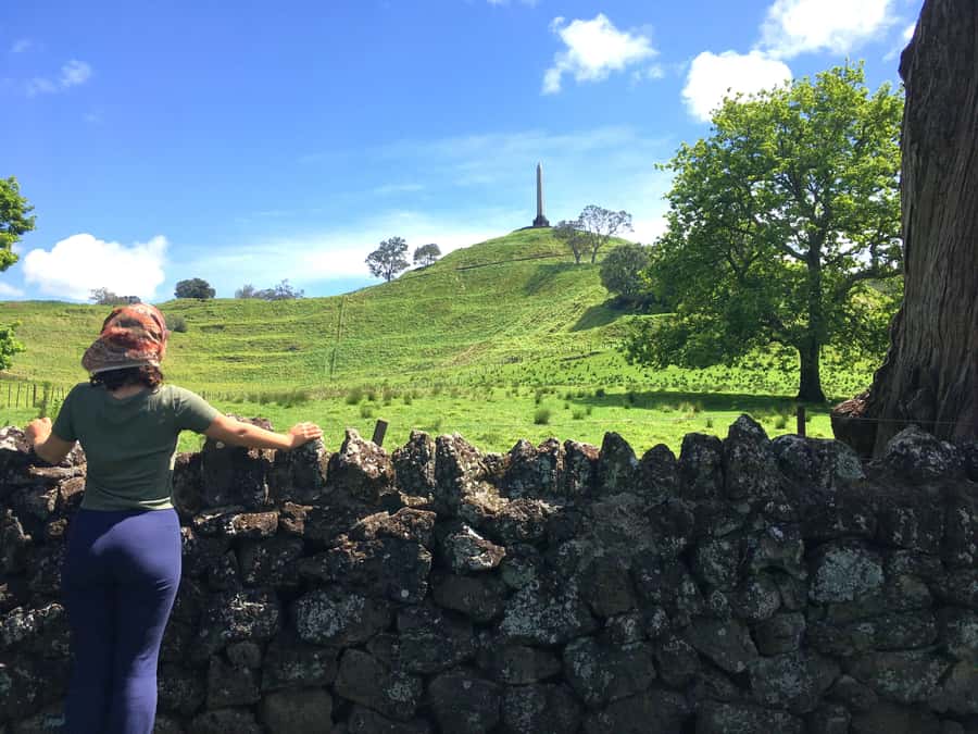 Auckland: Half-Day Auckland Volcanoes Tour - The guide is the heart of this experience