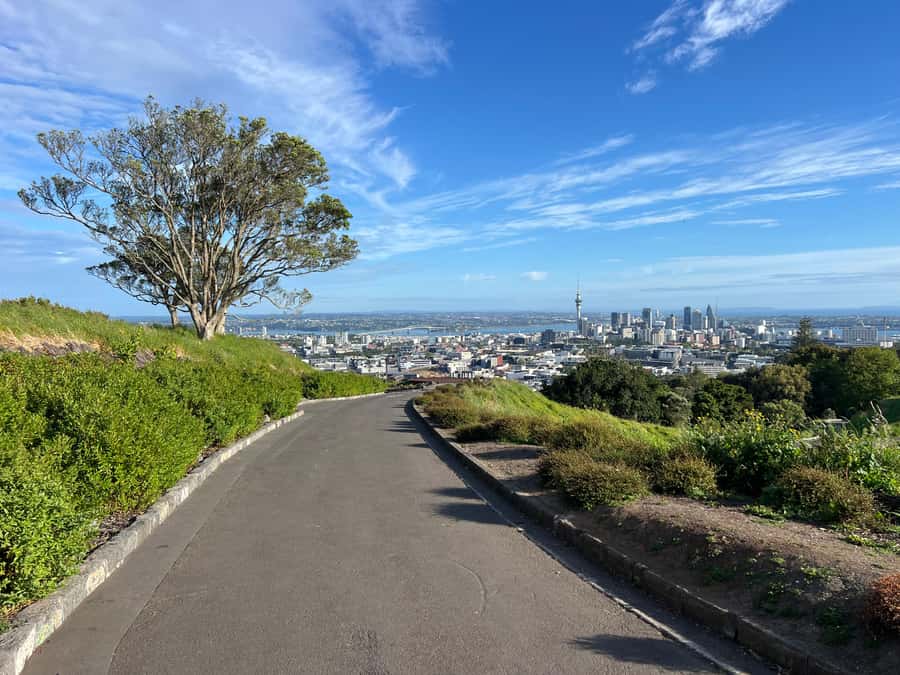 AUCKLAND: Half-Day CITY HIGHLIGHTS TOUR - Mt.Eden, Tamaki Dr - Key points at a glance