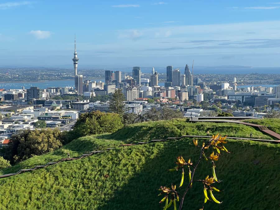 AUCKLAND: Half-Day CITY HIGHLIGHTS TOUR - Mt.Eden, Tamaki Dr - Westhaven Marina and the first harbor views