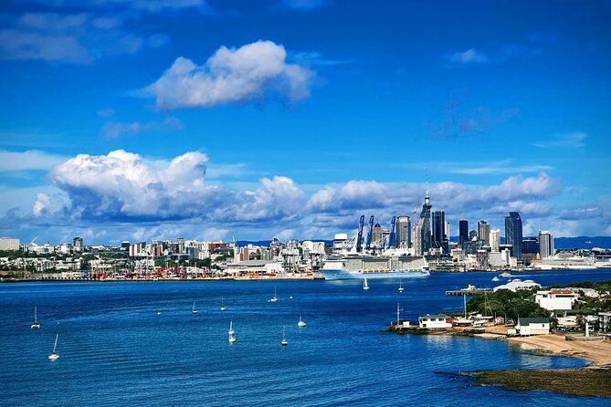 Auckland Half Day City Tour - Heart of Auckland - Key points to know before you book
