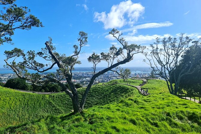 Auckland Half Day City Tour - Heart of Auckland - The Auckland Domain Wintergarden