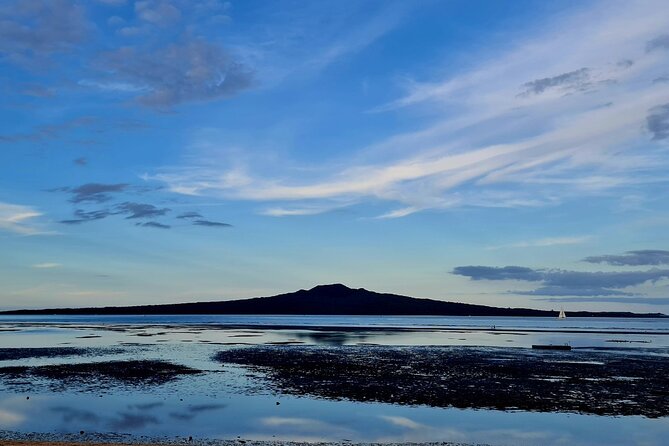 Auckland Half Day City Tour - Heart of Auckland - A route that can change to suit you