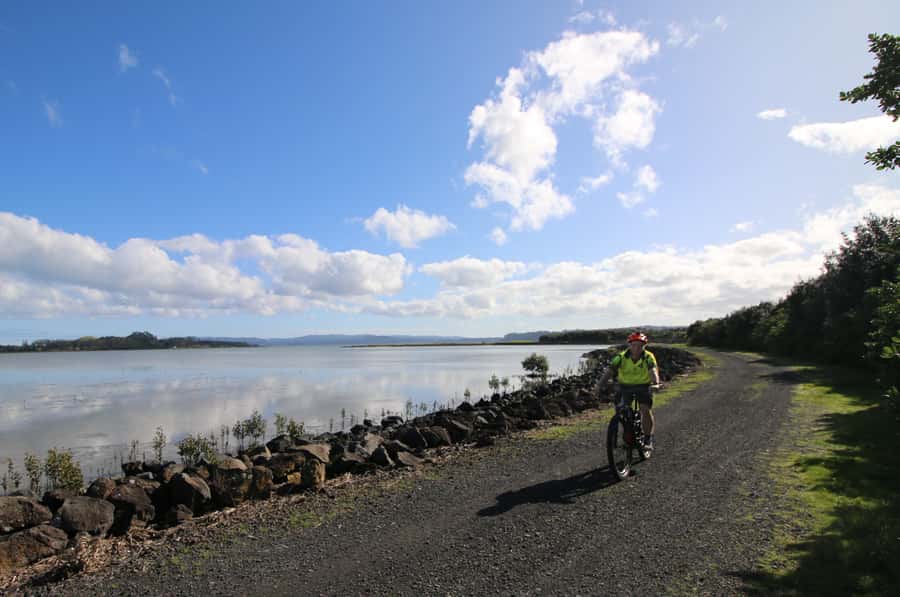 Auckland Half-Day Ebike Tour Excursion - Key points to know before you book