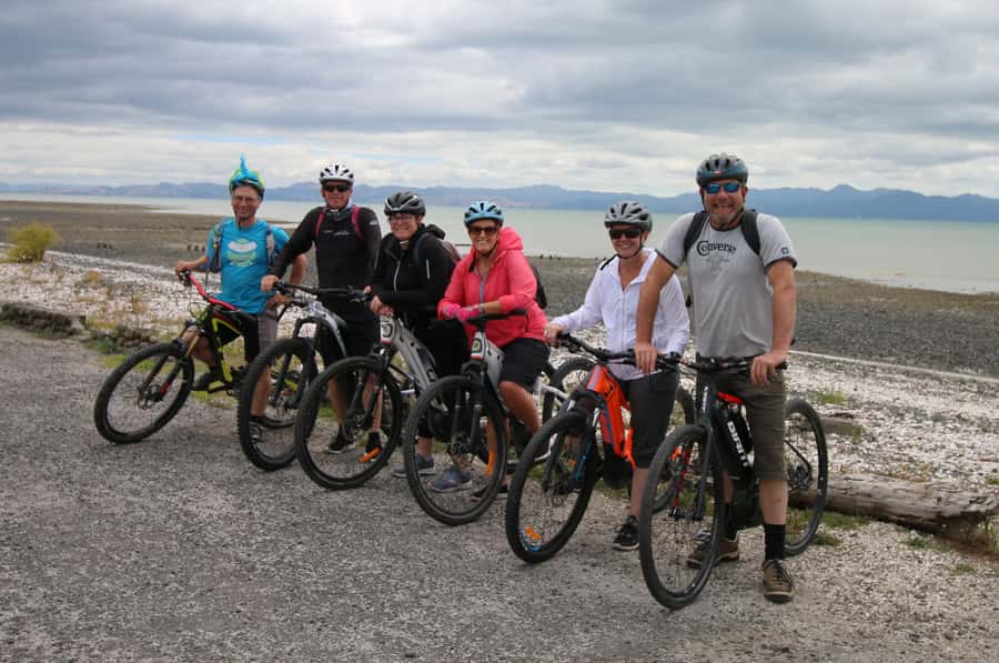 Auckland Half-Day Ebike Tour Excursion - Meola Reserve and views toward Te Atatu