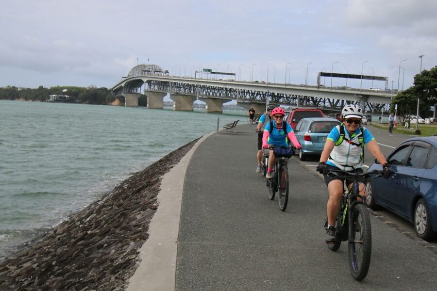 Auckland Half-Day Ebike Tour Excursion - Following the Opunuku streamway