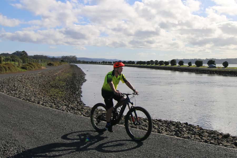 Auckland Half-Day Ebike Tour Excursion - Back pathways through Auckland’s western suburbs