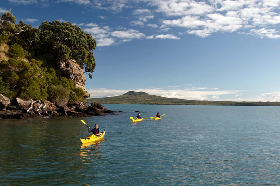 Auckland: Half-Day Sea Kayak Tour to Motukorea Island - Why Motukorea makes a good Auckland outing