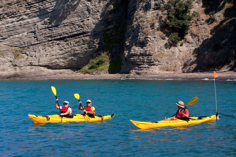 Auckland: Half-Day Sea Kayak Tour to Motukorea Island - Starting at St Heliers Beach
