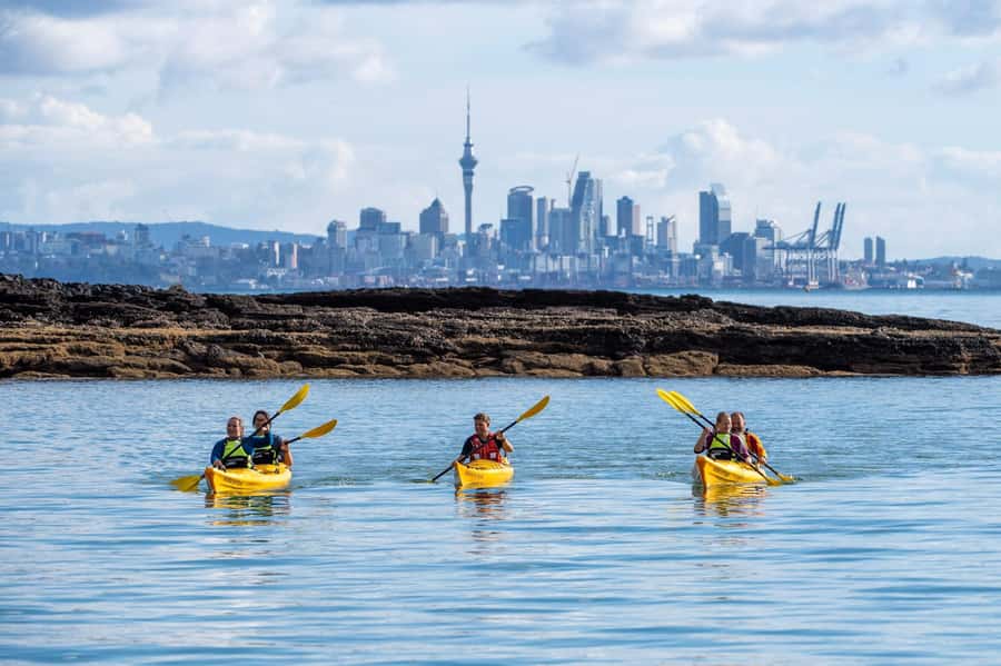 Auckland: Half-Day Sea Kayak Tour to Motukorea Island - Exploring Motukorea’s volcanic summit