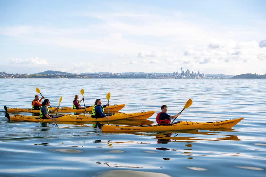 Auckland: Half-Day Sea Kayak Tour to Motukorea Island - Should you book the Motukorea kayak tour?