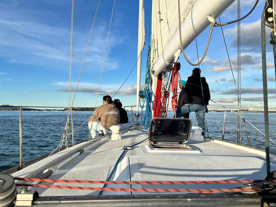 Auckland Harbour 1.5-Hour Sailing Cruise - Is $65 a fair price?