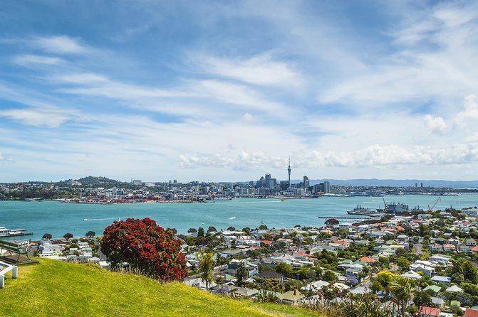 Auckland Harbour Cruise - Who will get the most from this cruise?