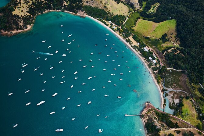 Auckland Harbour Sailboat Cruise Including Three Course Dinner - Dinner on a moving sailboat
