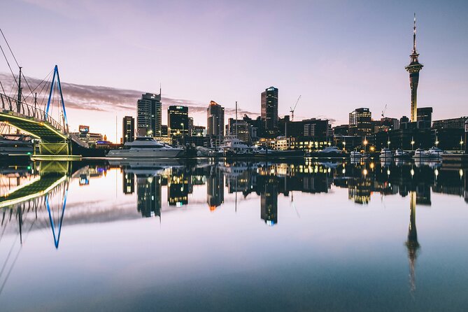 Auckland Highlight Attractions Small Group Tour - A smart first look at Auckland in four hours