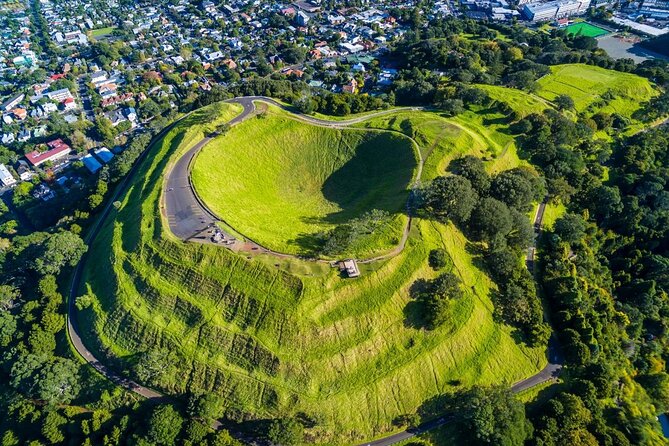 Auckland Highlight Attractions Small Group Tour - Why the small group matters