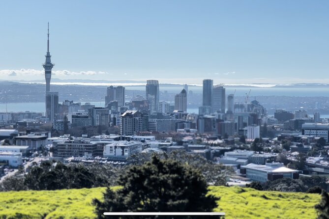 Auckland Highlight Fullday City Tour - Auckland Museum needs more than an hour