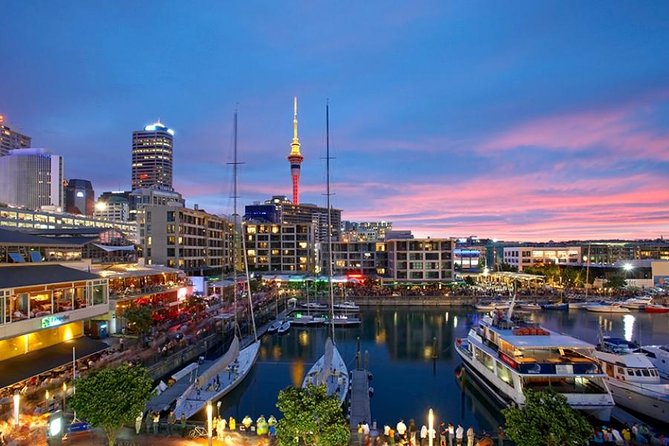 Auckland Highlights 4 Hrs city Tour - Key points to know before booking
