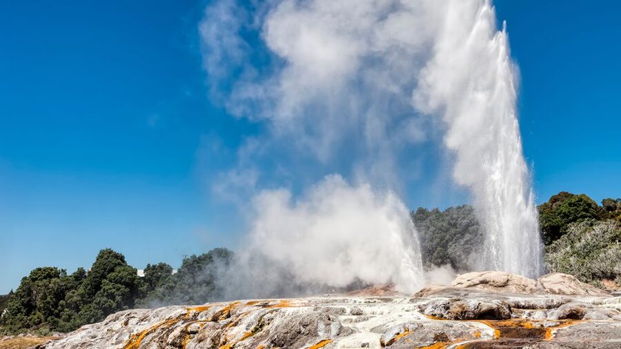 Auckland: Hobbiton and Rotorua Day Tour including Te Puia - How the $256 price holds up