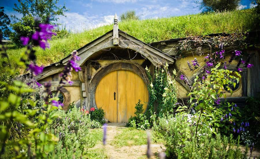 Auckland: Hobbiton Movie Set Tour with Lunch - Who should book this Auckland day trip