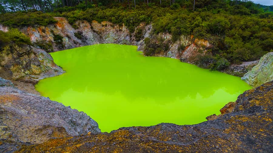 Auckland: Hobbiton, Rotorua and Wai-O-Tapu Day Tour - Tirau and Fitzgerald Glade add local color