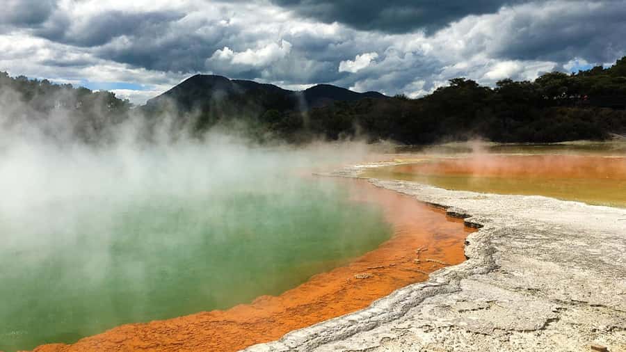 Auckland: Hobbiton, Rotorua and Wai-O-Tapu Day Tour - Who should book this tour?