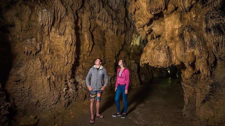 Auckland: Hobbiton, Waitomo Caves, and Rotorua 1-Way Tour - Tirau and the final drive into Rotorua