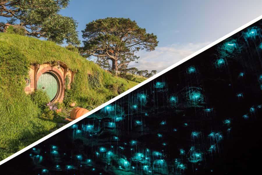 Auckland: Hobbiton & Waitomo Caves Small-Group Tour & Lunch - Key points to know before booking