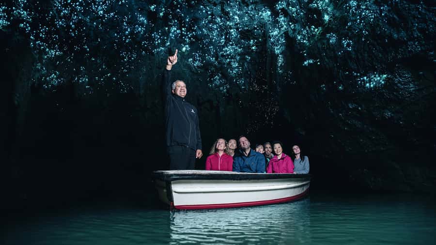 Auckland: Hobbiton & Waitomo Caves Small-Group Tour & Lunch - The return to Auckland